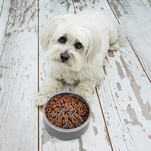 Jaoul Slow Feeder Dog Bowls Insert, Puzzle Slow Feeder Insert with 21 Octopus Suction Cups for Small Breed Dog Food Bowls (4 inch, Grey) - color: Grey, size: Small(4inch)