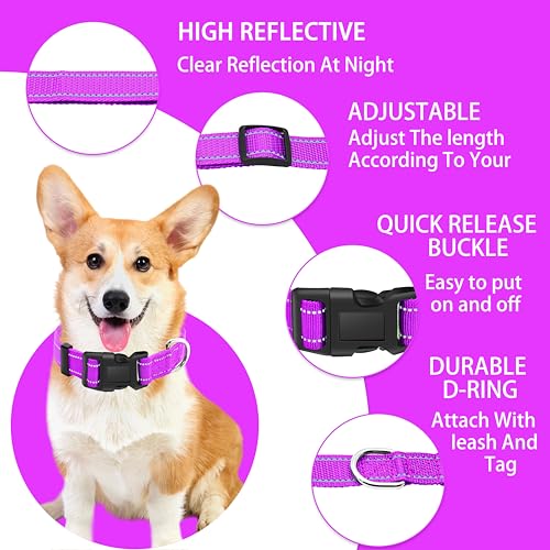 Reflective Dog Collar with Safety Locking Buckle, Adjustable Soft Breathable Nylon Collars for Small, Medium and Large Dogs(Collar+Leash XS Width 3/8" Rosered) - color: Rosered, size: XX-Small (Width 3/8")