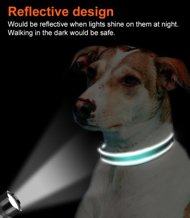 Joytale Reflective Dog Collar, Soft Neoprene Padded, Metal D-Ring, Nylon Pet Collar Adjustable for Puppy and Small Dogs, Teal, XS - color: Teal, size: X-Small (Pack of 1)