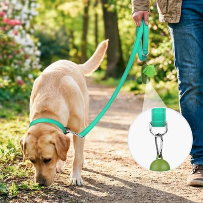 Joytale Dog Leash, 6 FT Double-Sided Reflective, Padded Handle Nylon Heavy Duty Leashes for Medium & Large Dogs Walking, Teal - color: Teal, size: 6 ft Standard