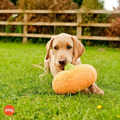 P.L.A.Y. Cute Plush Dog Toys - Fruit & Vegetable Themed Durable Squeaker Chew Toy, Great for Puppies & Small, Medium, Large Dogs - Machine Washable, Recycled Materials (Garden Fresh Pumpkin, Medium) - color: Pumpkin, size: Medium