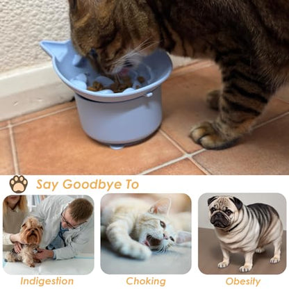 Elevated Cat Bowl, Silicone Pet Bowls for Food and Water, Wide Shallow Kitten Food Dish, Whisker Fatigue, Lead & Cadmium Free, Great Height for Cat (Sky Blue) - color: Sky Blue