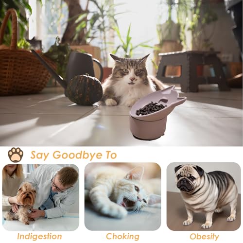 Elevated Cat Bowl, Silicone Kitten Bowls for Food and Water, Wide Shallow Cat Food Dish, Whisker Fatigue, Lead & Cadmium Free, Great Height for Pets (Pink) - color: Pink