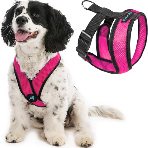Gooby Comfort X Head in Harness - Flamingo Pink, Small - No Pull Dog Harness with Patented Choke-Free X Frame for Small to Medium Dogs Indoor/Outdoor Use - color: Flamingo Pink, size: Small Chest (11.75-15.5")