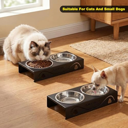 2 Pack All-Metal Cat Food Bowl Raised, 5.5" Wide Tilted Whisker-Fatigue Pet Dish, Anti-Vomiting, 4 Stainless Steel Bowls for Food Water, Non-Slip Elevated Cat Feeding Stand for Indoor Multi Cats,Puppy - color: Black-2