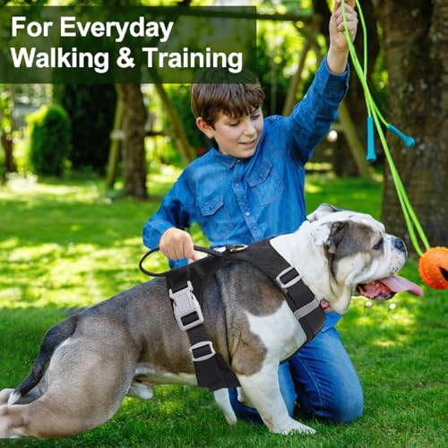 No Pull Dog Harness with Handle, Adjustable Soft Pet Vest Harness with Lightweight for Small Medium Large Sized Dog,Black,S - color: Black, size: S