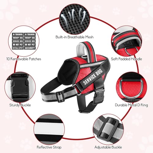 Service Dog Vest Harness and Leash Set, Animire in Training Dog Harness with 10 Dog Patches, Reflective Dog Leash with Soft Padded Handle for Small, Medium, Large, and Extra-Large Dogs - color: Red, size: XXS