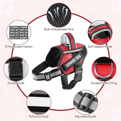 Service Dog Vest Harness and Leash Set, Animire in Training Dog Harness with 10 Dog Patches, Reflective Dog Leash with Soft Padded Handle for Small, Medium, Large, and Extra-Large Dogs - color: Red, size: XXS