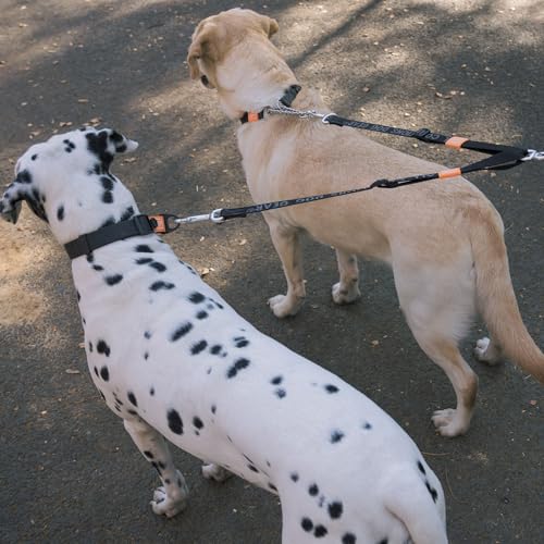Double Dog Leash, No Tangle 360° Swivel, Adjustable Two Padded Handles, Double Clip Dog Leash Coupler Splitter Breeds (Mint Green, 4/5'' x 0.9 FT, Ultralight) - color: MintGreen, size: Pro M/L