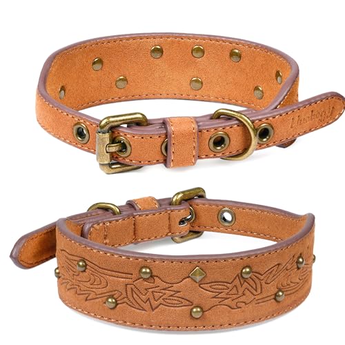Blueberry Pet Premium Embossed Silver-Powered Freshness Microfiber Suede Leather Dog Collar in Saddle Brown - color: Saddle Brown, size: Small