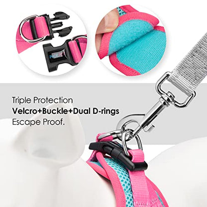 PHOEPET Step-in Dog Harness,Reflective Adjustable Dog Vest Harness, Soft Pet Walking Jacket with 2 Metal Leash Hooks for Dog and Cat(Mint Green Base & Pink Straps,L) - color: Mint Green Base & Pink Straps, size: L (Neck: 12-13.5”,Chest: 16-18”)