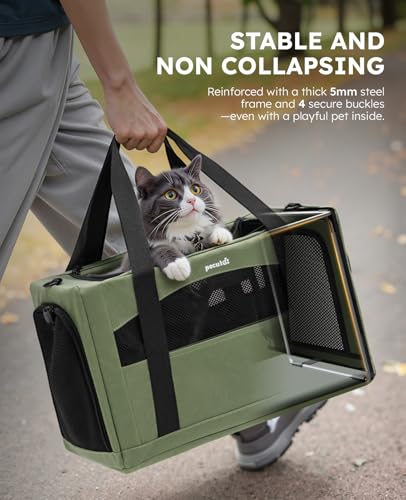 Pecute Cat Carrier Stable, Pet Carrier with Hidden Anxiety Relief Partition & Stable Steel Frame, Safe Cat Carrier for Car Travel, Soft-Sided Dog/Cat Carrier Bag for Pets Up to 11lbs, Green - color: Green Regular
