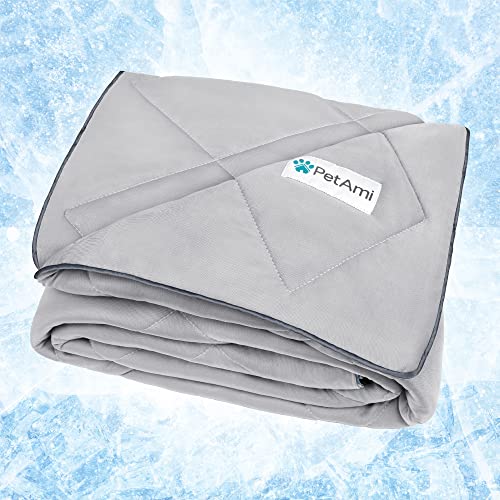 PetAmi Premium Cooling Dog Blanket | Lightweight Fluffy Pet Throw Blanket Bed Cover for Dogs, Cat, Puppies | Pet Blanket Furniture Protector Couch Sofa | Reversible Fuzzy Cozy | 40x60, Light Grey - color: Light Grey, size: Large (40x60)