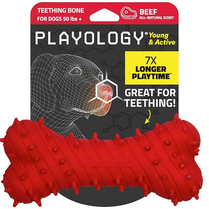 Playology Dog Toys | Teething Bone for Large Puppies and Young Dogs | Beef Scented Jumbo Dog Bone Chew Toy | Teething Puppy Essentials - size: Jumbo, style: Beef