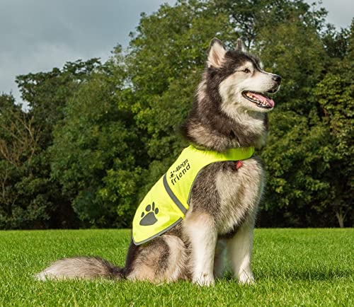 Safety Reflective Vest for Dogs - High Visibility for Outdoor Activity Day and Night, Protect Your Pet from Cars & Hunting Accidents - size: M