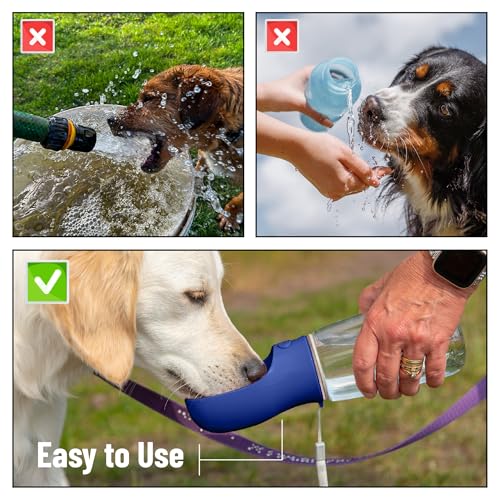 Mr. Pen- Portable Dog Water Bottle, 19 oz, Large, Leak Proof Puppy Water Dispenser with Drinking Feeder for Pets, Outdoor Walking, Hiking, Travel, Not Dishwasher Safe - color: Navy Blue