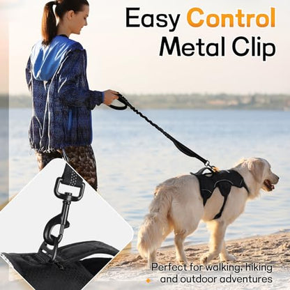 rabbitgoo Escape Proof Dog Harness, Soft Padded Full Body Pet Harness, Reflective Adjustable No Pull Vest with Lift Handle and Leash Clip for Large Dogs Walking Hiking Training, L, Black - color: Black, size: Large (Pack of 1)