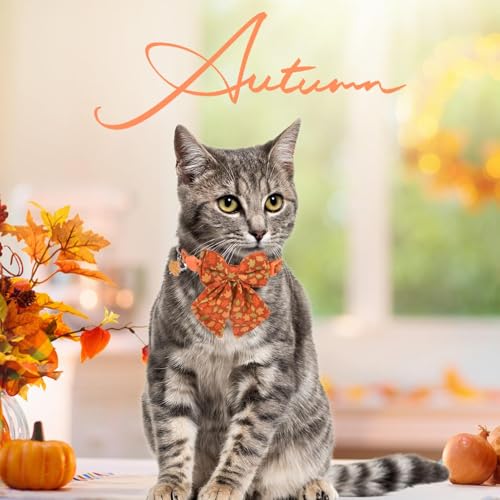 SCENEREAL Fall Cat Collar with Bell & Stylish Bowtie, Turkey Maple Leaf Pattern Breakaway Cat Collars Accessories for Boy Girl Small Cats, Holiday Thanksgiving Kitten Costumes for Female Male Pets - color: Stylish Bow (Thanksgiving/Fall)