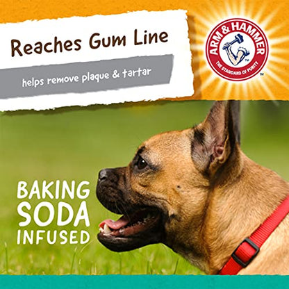 Arm and Hammer for Pets Super Treadz Gorilla Dental Chew Toy for Dogs - Reduces Plaque and Tartar Without Brushing, Baking Soda Infused, Dishwasher Safe, Dogs Up to 35 Lbs - size: Large (Pack of 1), style: A Gorilla