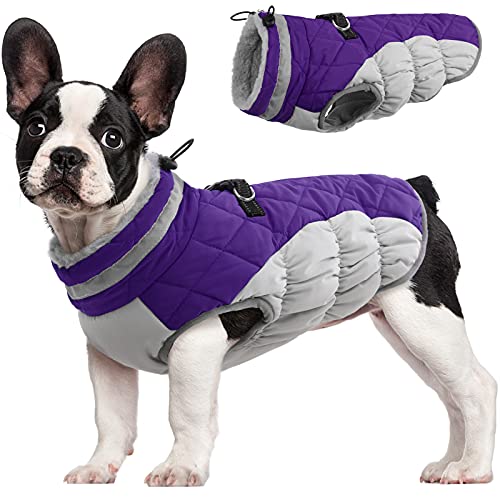 FUAMEY Dog Coat for Small Dogs,Waterproof Dog Winter Jacket with Harness Built in Puppy Cold Weather Coats Reflective Pet Vest with Zipper Warm Fleece Dogs Snowsuit Windproof Purple XS - color: Purple, size: XS(chest:14in)