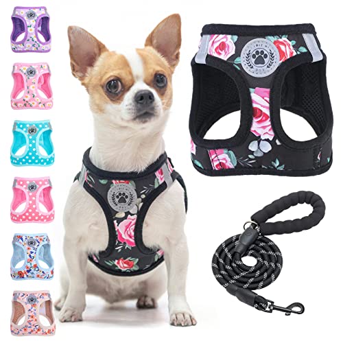 BEAUTYZOO Step in Dog Harness and Leash Set, Floral Pattern Reflective Dog Harness No Pull No Choke Puppy Harness for XXS XS S Dogs Cats, Soft Padded Mesh Vest Harnesses for Girl and Boy Pets - color: Black Rose, size: XX-Small(Chest Girth 11.5"-13")
