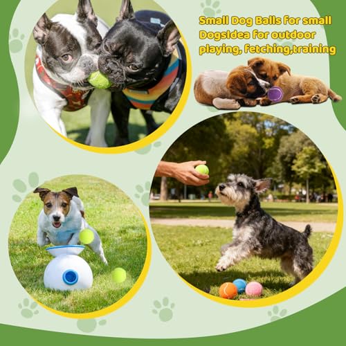 20 Pack Tennis Balls for Dogs, 2 inch Dog Toy Ball with Mesh Bag, Small Tennis Balls Pet Dog Playing Ball for Pet Puppy (5 Color)