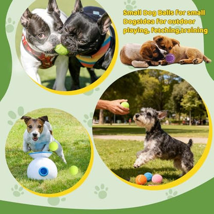 20 Pack Tennis Balls for Dogs, 2 inch Dog Toy Ball with Mesh Bag, Small Tennis Balls Pet Dog Playing Ball for Pet Puppy (5 Color)