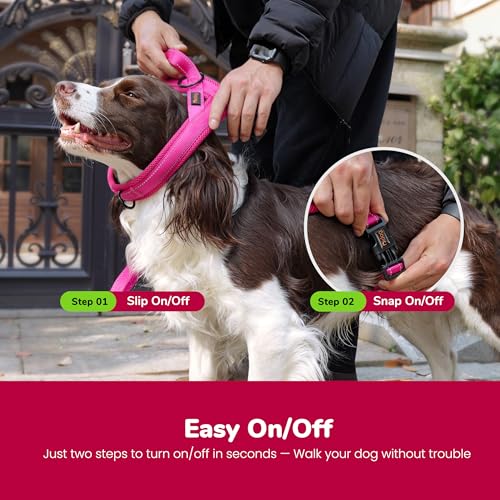 Didog No Pull Dog Harness with Soft Mesh Padded,Reflective & Quick Fit Light Weight Dog Strap Vest Harness,Easy for Walking Training (XS:Chest 15-18", Mesh-Hot Pink) - color: Hot Pink, size: XS: Chest 15-18", Fit 9-18 lbs