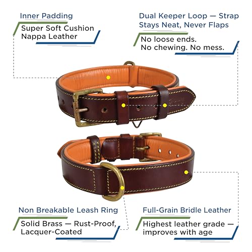 Genuine Leather Dog Collar – 1" Wide Full Grain, Padded, Heavy Duty with Brass Buckle for Small, Medium, Large, XL Dogs (Medium (Fit Neck Size 14.5"-18.5"), Brown) - color: Brown, size: M (Fit Neck Size 14.5"-18.5")
