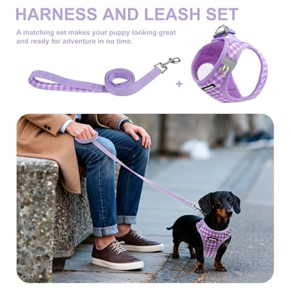AIITLE Medium Dog Harness – Breathable Mesh with Plaid Design & Dual D-Rings – Secure Fit for Camping, Hiking & Daily Adventures (L, Purple) - color: Purple, size: L