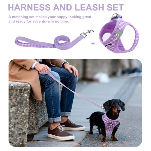 AIITLE Small Dog Harness with Leash – Soft Breathable Mesh, Plaid Pattern & Reflective Strips – Ideal for Training, Running & Party Outings (S, Purple) - color: Purple, size: S
