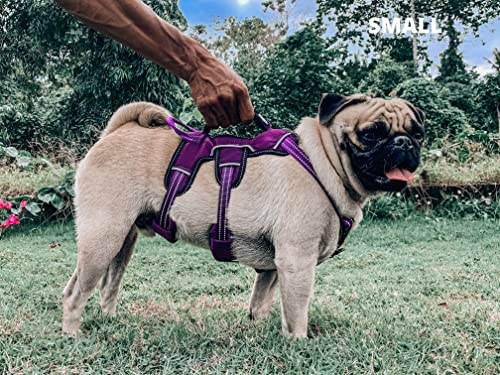 Tuff Pupper Escape Proof No Escape Dog Harness | 5 Point Adjustable Fit Harness for Dogs | Padded Dog Harnesses | Handle Dog Lift Harnesses - color: Purple, size: Small