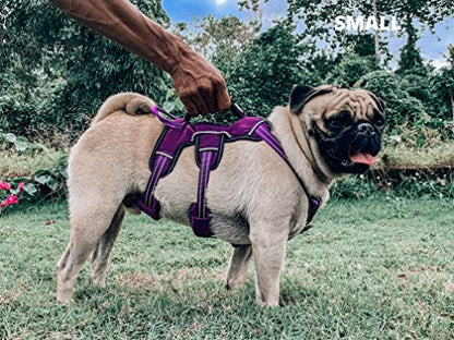 Tuff Pupper Escape Proof No Escape Dog Harness | 5 Point Adjustable Fit Harness for Dogs | Padded Dog Harnesses | Handle Dog Lift Harnesses - color: Purple, size: Small
