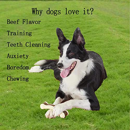 Dog Chew Bones Toys for Aggressive Chewers, 6 Pack Real Beef Flavor Bones,Indestructible Dog Toys for Large/Medium Breed, NylonToys - size: 6 Pcs-beef Flavor