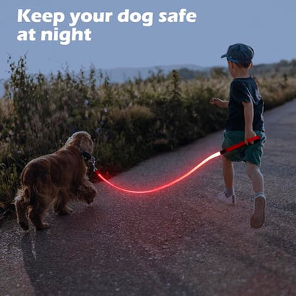 LED Dog Leash Light Up 4 Feet Micro USB Rechargeable Nylon Webbing Glow Safety Standard by Bpawser (Red) - color: Red, size: 4 Feet