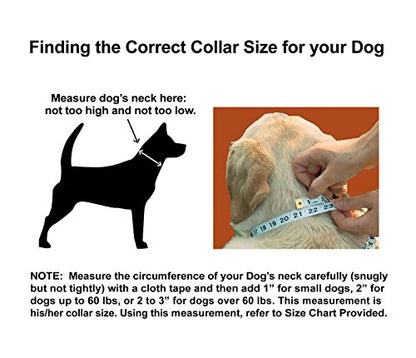Wagtime Club Reflective Dog Collar with Buckle Quick Release Adjustable Nylon Collar for Small Medium Large Dogs (Medium, Bright Blue) - color: Blue, size: m