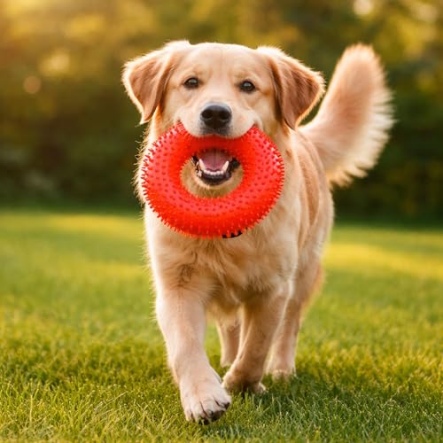 Squeaky Spiky Dog Ring Toy for Teeth Cleaning & Gum Massage 4.9 Inch Medium Large Dogs Red | Spiny TPR Rubber Chew Toy for Fetch Play Interactive Bouncy Dental Ring Durable BPA Free Nontoxic Floats - size: Red Ring - 1 Pack