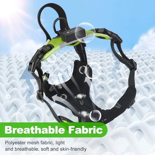 Light Up Dog Harness - LED No Pull Rechargeable Illuminated and Reflective Vest for Night Walking, Adjustable Dog Harness - color: Green, size: M