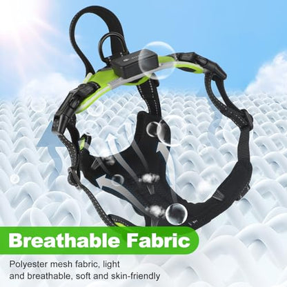 Light Up Dog Harness - LED No Pull Rechargeable Illuminated and Reflective Vest for Night Walking, Adjustable Dog Harness - color: Green, size: M