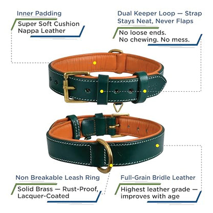 Genuine Leather Dog Collar – 1" Wide Full Grain, Padded, Heavy Duty with Brass Buckle for Small, Medium, Large, XL Dogs (Medium (Fit Neck Size 14.5"-18.5"), Teal Green) - color: Teal Green, size: M (Fit Neck Size 14.5"-18.5")