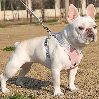 Dog Harness Pet X Frame No Pull Step-in Harnesses with Leash Set, Adjustable Reflective Choke Free Puppy with Padded Vest for Small, Medium Dogs and Cats Walking Training - color: Pink, size: Small