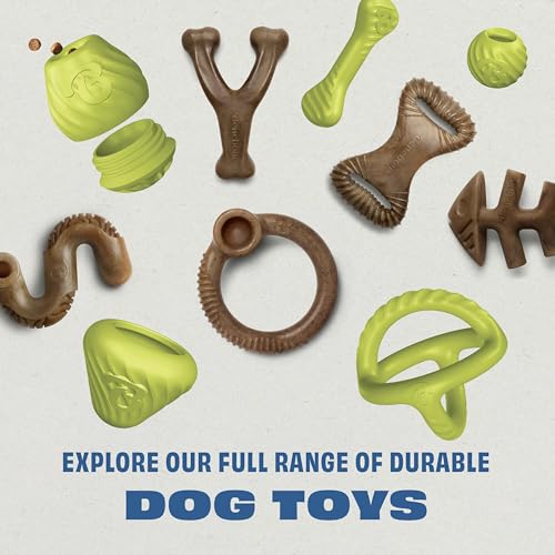 Benebone Natural Rubber Dog Chew Toy, Dog Bone, Limited Edition America 250, Medium - size: 1 Pack, style: America 250 - Bone