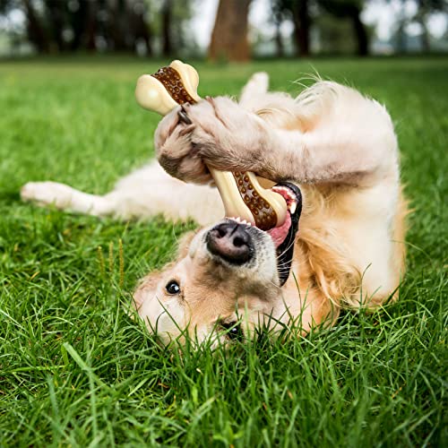 Sosation Bones Shaped Dog Toys for Aggressive Chewers, 2 Pack Christmas Dog Chew Toys Puppy Teething Nylon Beef Flavor for Large/Medium/Small Puppies Breeds(Curved Bone,Large, Medium) - size: Large, Medium, style: Curved Bone