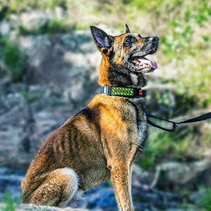 OneTigris Tough Dog Collars, Tactical Dog Collar with Handle, Milltary Adjustable Dog Collar with Heavy Duty Metal Buckle for Training (Large(Pack of 1), Black) - color: Black, size: L