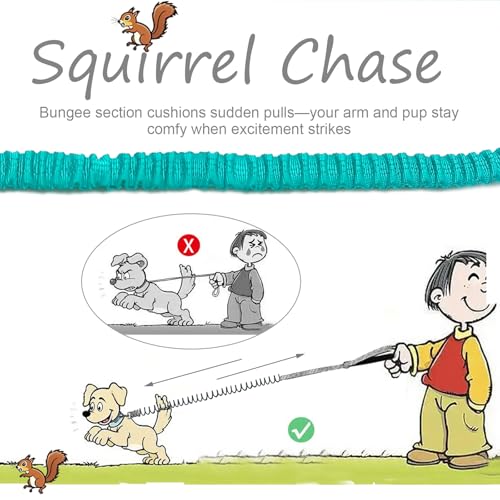 Bungee Dog Leash- 5FT Shock Absorbing & Reflective Nylon Leash | Anti-Pull Training for Small/Medium Dogs | 2cm Wide, 6 Colors (Turquoise) - color: Turquoise
