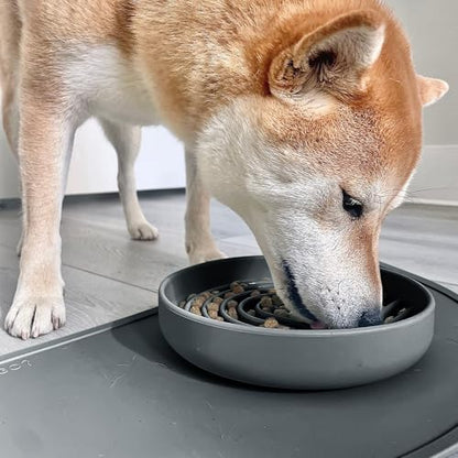 Should We Go? Slow Feeder for Dogs & Puppies, The Slowdown Bowl Silicone Slow Eating, Modern Lick Mat Design, Reduces Gulping, Fits 2 Cups, 7.5” Across x 1.5” Tall, Mealtime Challenge, Medium-Charcoal - color: Charcoal - Rainbow Design, size: Medium (7.5”