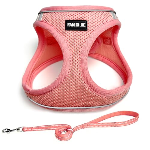 Dog Harness and Leash Set, No Pull Soft Mesh Pet Harness -in Puppy Pet Vest Harnesses for XS,Small,Medium Dogs and Cats Pink-S - color: Pink, size: S (Chest: 14-15.5")