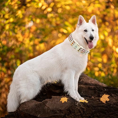 Elegant little tail Fall Dog Collar, Plaid Puppy Collars Fall Yellow Male Cute Puppy Adjustable Cotton Pet Collar with Quick Release Buckle for Small Medium Large Dogs - color: Fall, size: X-Small (Pack of 1)