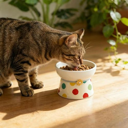 Elevated Ceramic Cat Bowls, 15°Raised Cat Food Bowl,Whisker Friendly Anti Vomiting Cats Dishes,Anti Vomiting&Protect Pet's Spine,Feeder Dish for Indoor Kitty and Small Dogs (Polka dot Tall cat Bowl) - color: Polka dot tall cat bowl