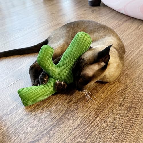 TTcat Catnip Silvervine Matatabi Pillow for Cats & Kittens,Large Cat Cactus Toy Cat Kicker Toy Chew Toy for Indoor Cats. - color: Cactus